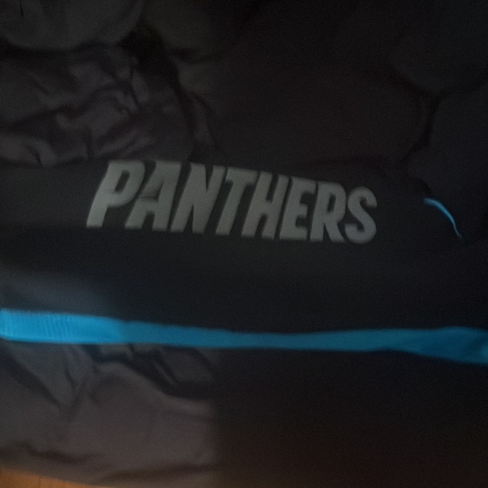 Carolina Panthers jacket - Picture 2 of 4